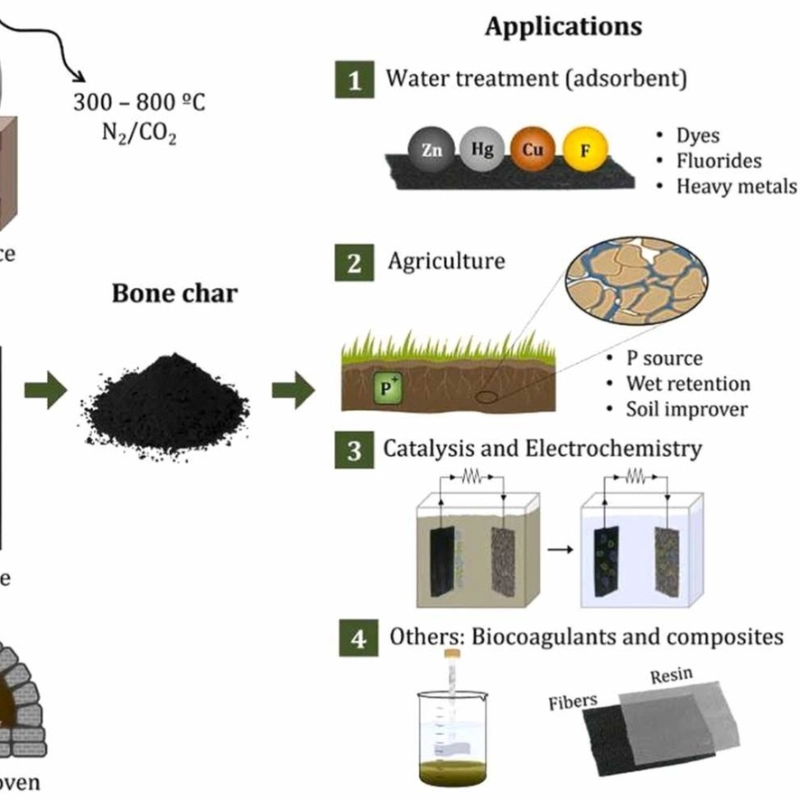 Bone char for water treatment and environmental applications: a review